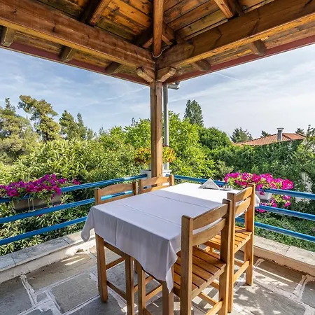 Theo Boutique Hotel