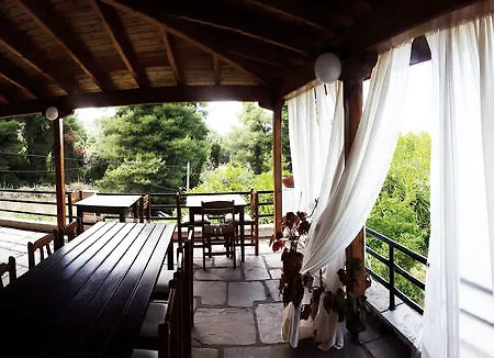 Hotel Theo Boutique