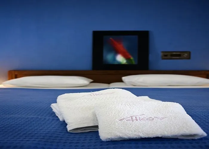 Theo Boutique Kriopigi