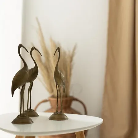 Hotel Theo Boutique 3*