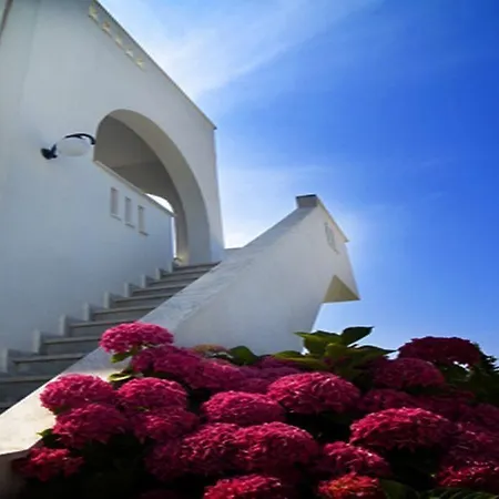 Theo Boutique Hotel 3*