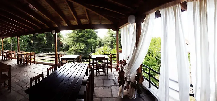 Hotel Theo Boutique